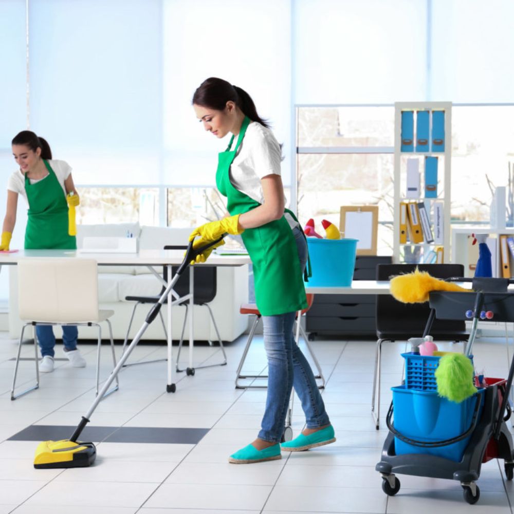 Professional House Cleaning in South Jersey